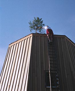 Building Windmill De Immigrant Fulton Il