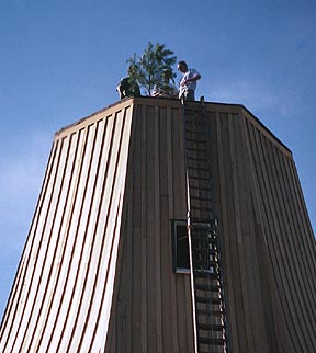 Building Windmill De Immigrant Fulton Il